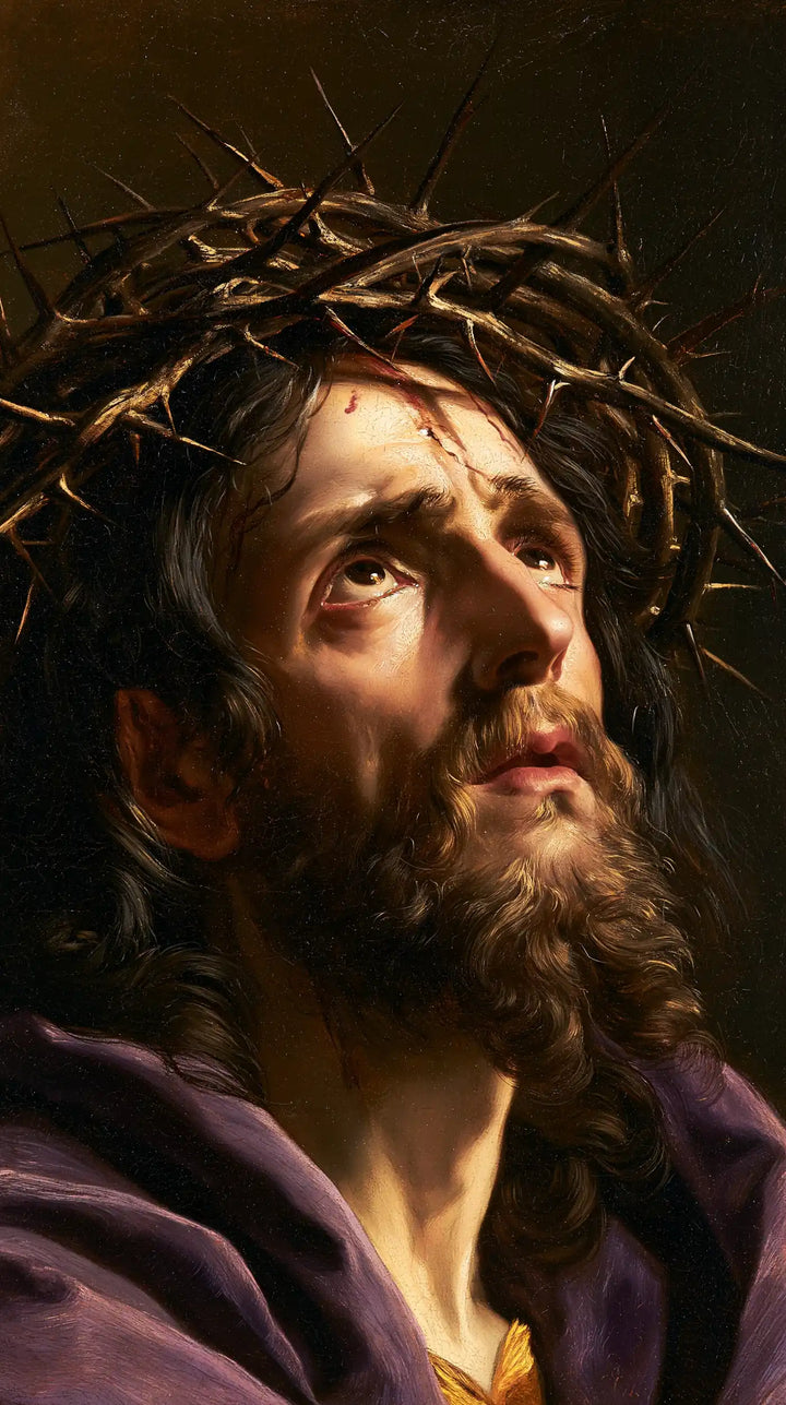 Jesus Crowned with Thorns - Theatrical Baroque · Portrait n° 3