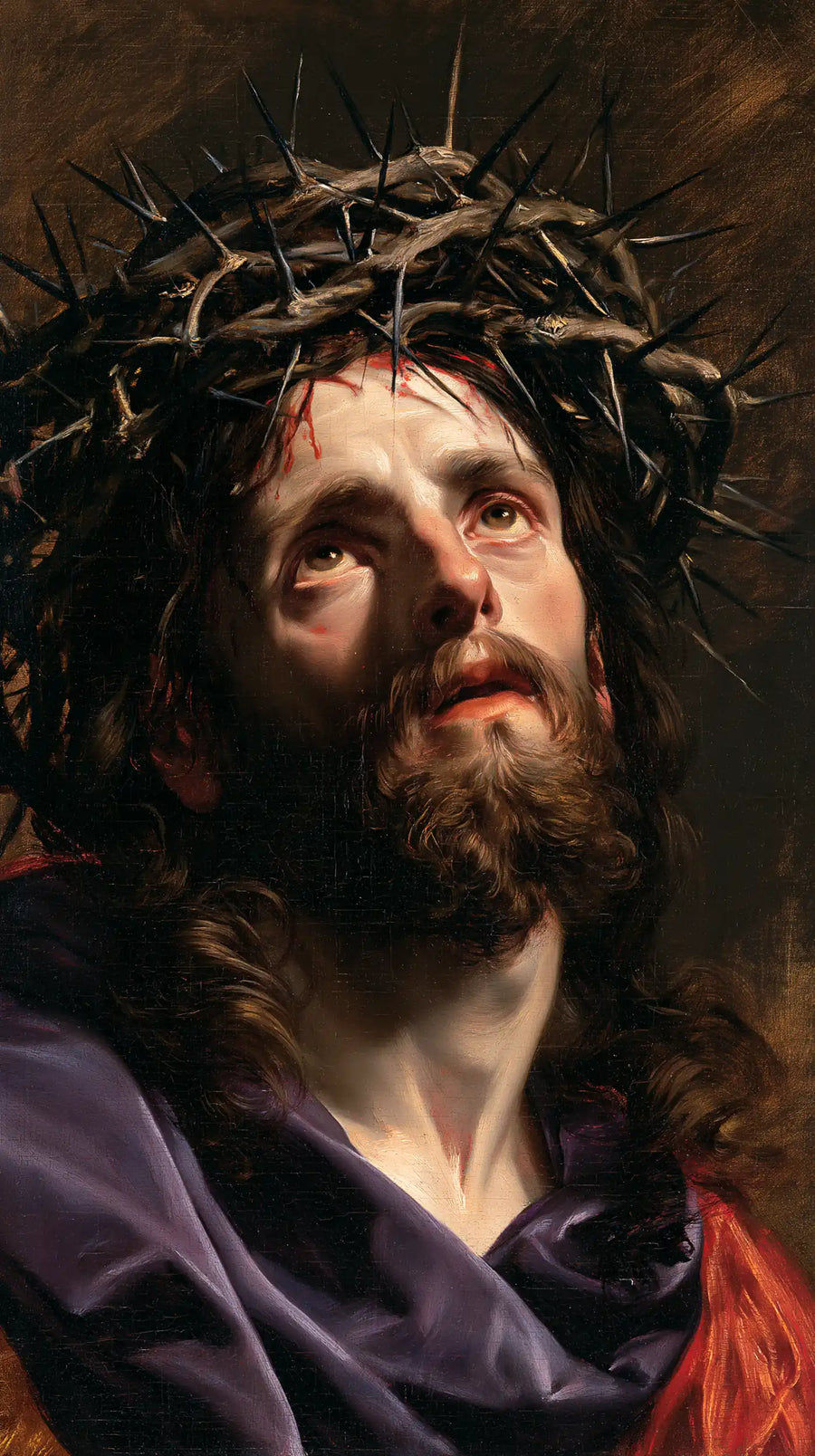 Jesus Crowned with Thorns - Theatrical Baroque · Portrait n° 4