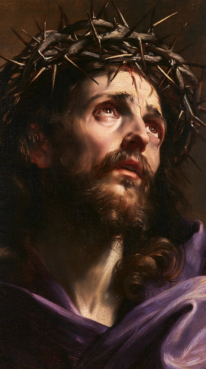 Jesus Crowned with Thorns - Theatrical Baroque · Portrait n° 8
