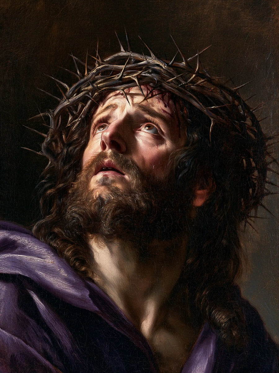 Jesus Crowned with Thorns - Theatrical Baroque · Portrait n° 14