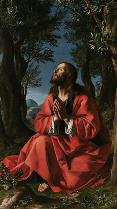 Jesus in Gethsemane — Orison in the Velvet Garden