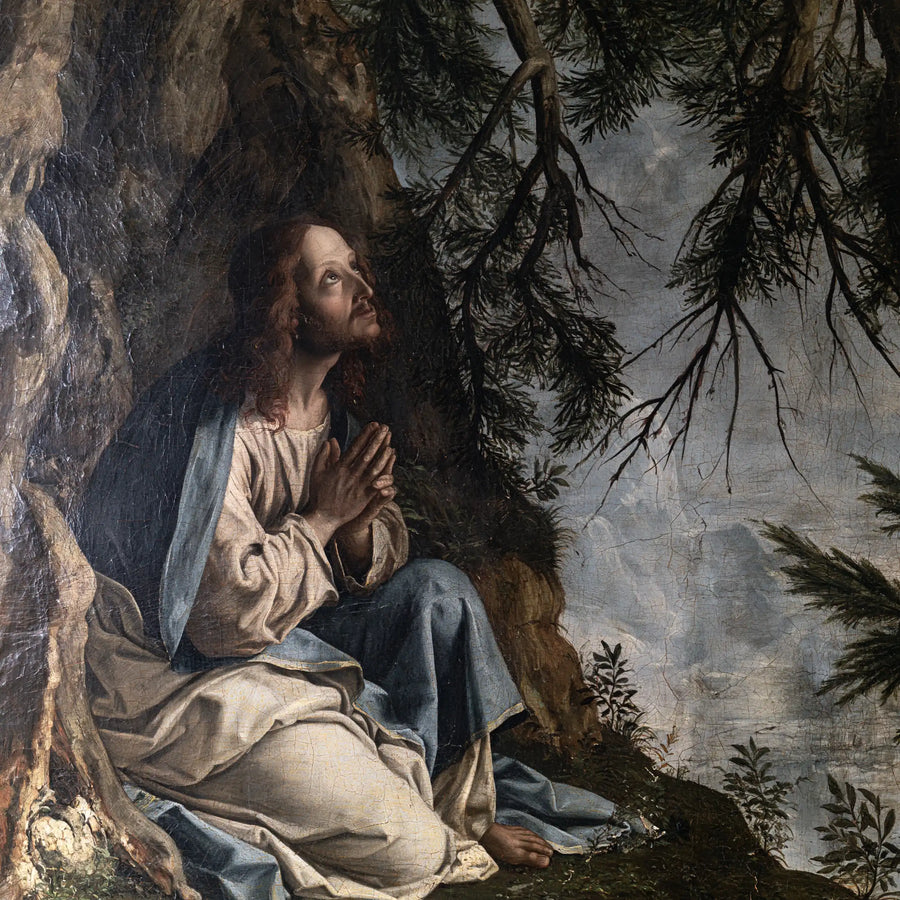 Jesus in Gethsemane — Refuge within the Great Tree